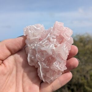 Pink Halite Salt Crystal Cluster Handpicked Quality Trona, CA Mineral, Small